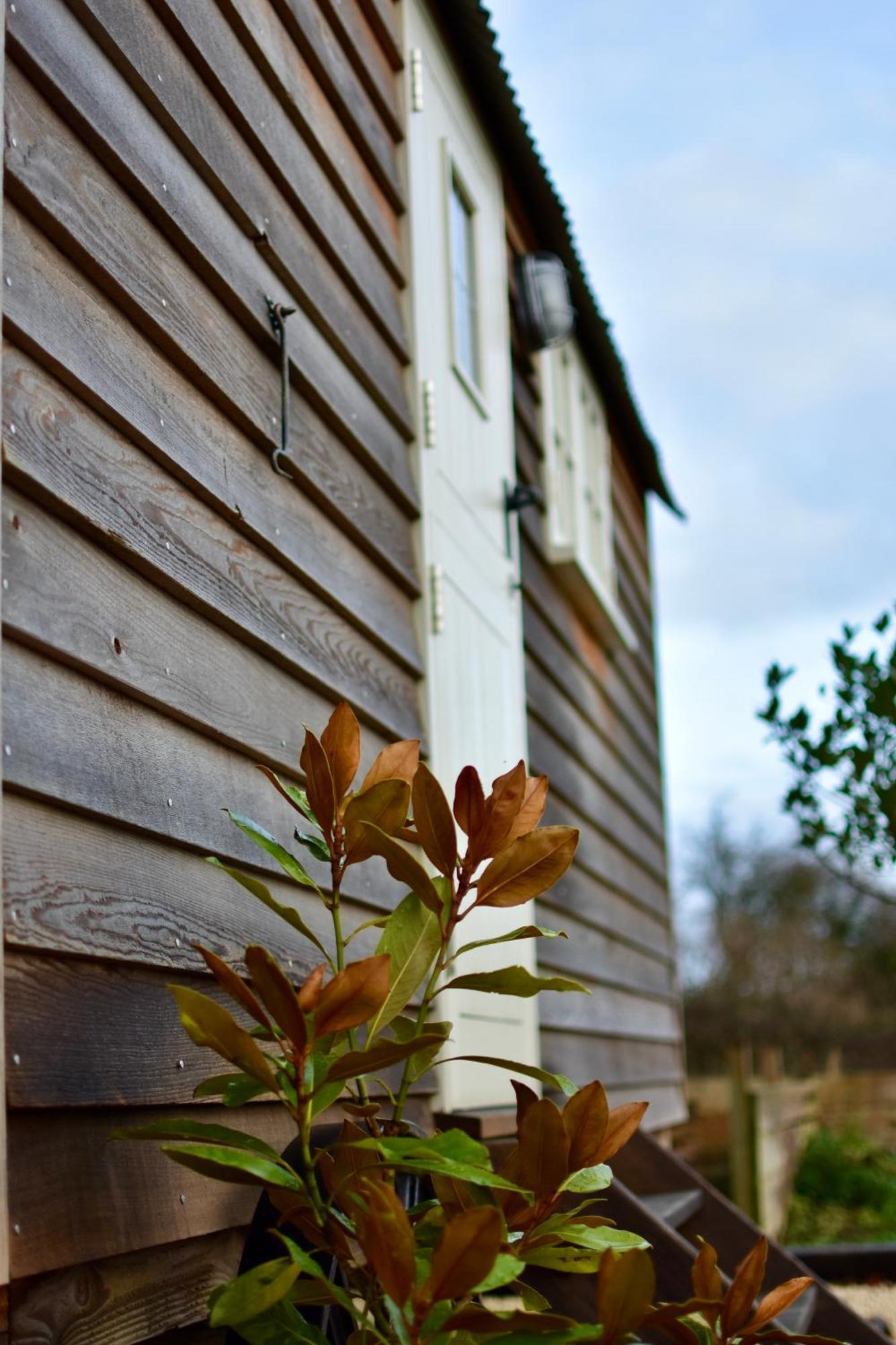 Burpham The Deer Hut 아파트 외부 사진